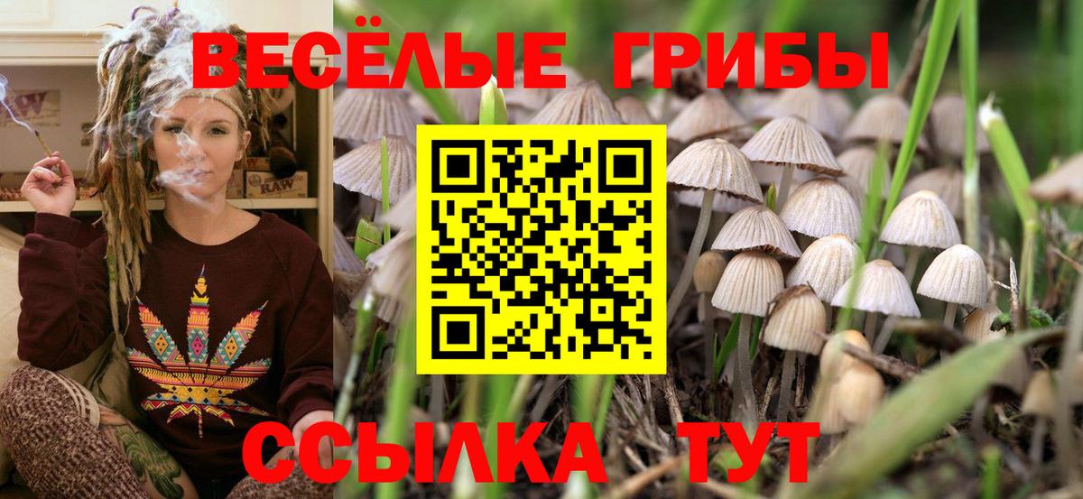 Саяногорск  Псилоцибиновые грибы GOLDEN TEACHER  Вход с VPN  Псилоцибиновые грибы мицелий 