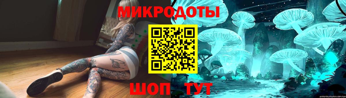 Галлюциногенные грибы прущие грибы Саяногорск